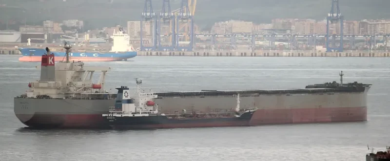 RIGEL Bulk Carrier IMO 9334894 photo 9