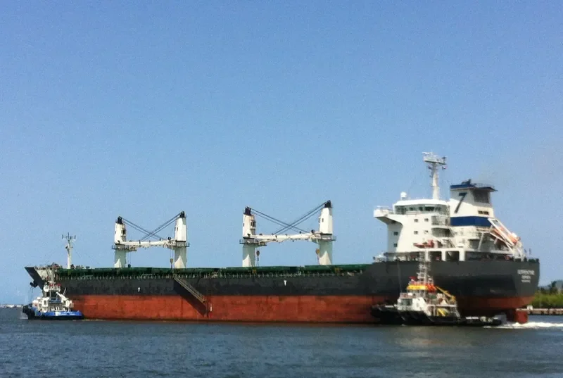 BELFORT Bulk Carrier IMO 9335020 photo 2