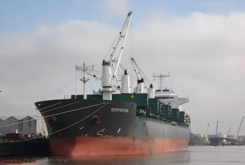 BELFORT Bulk Carrier IMO 9335020 photo 6