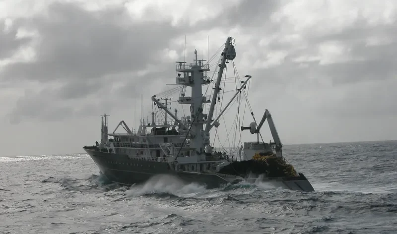 DRACO General Cargo IMO 9335226