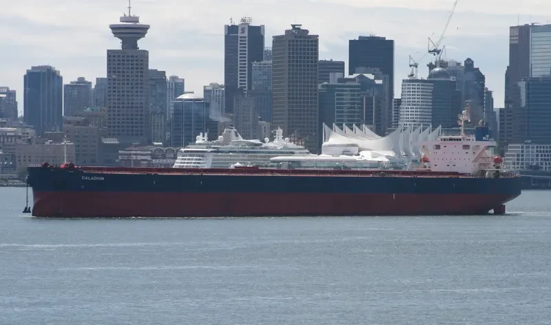 WINNING KINDNESS Bulk Carrier IMO 9335240 photo 4