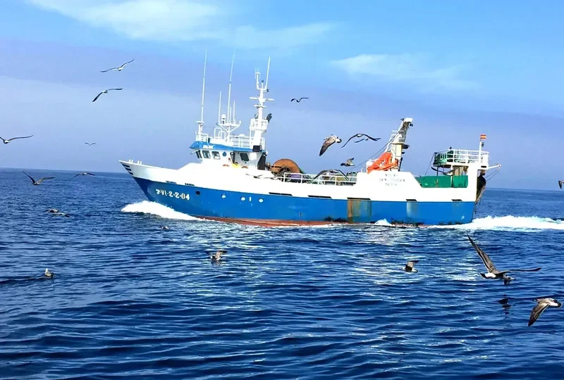 NUEVO SAN CIBRAN General Cargo IMO 9335252