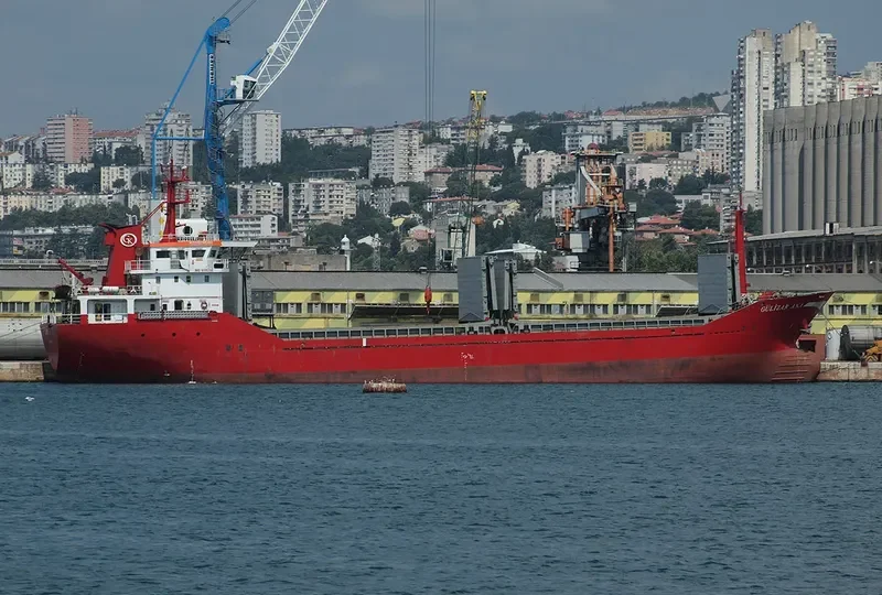 GULIZAR ANA General Cargo IMO 9335355 photo 8