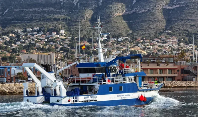EMMA BARDAN General Cargo IMO 9335379 photo 10