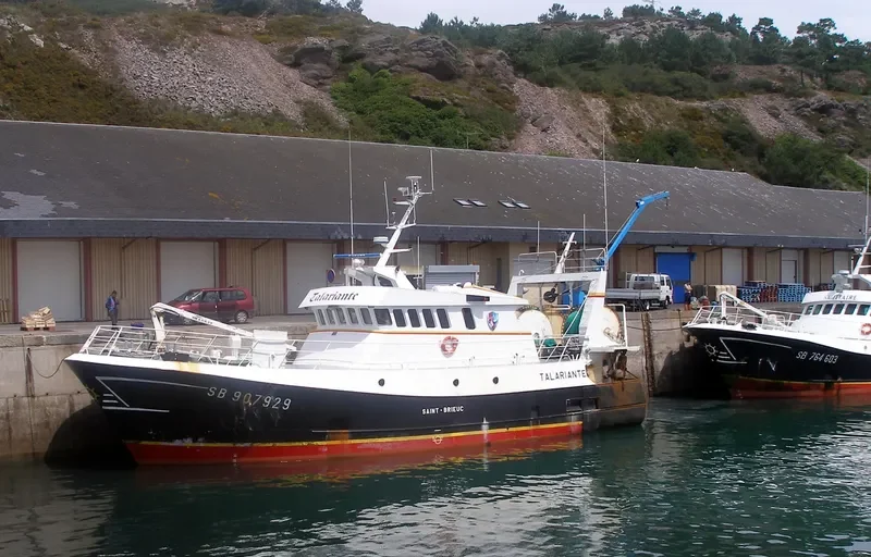 TALARIANTE General Cargo IMO 9335654 photo 8