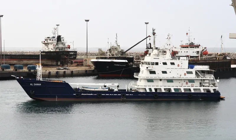 AL DANAH General Cargo IMO 9335666 photo 3