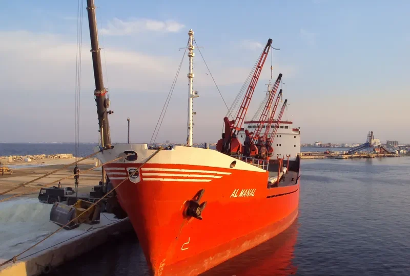 AL DANAH General Cargo IMO 9335666 photo 7