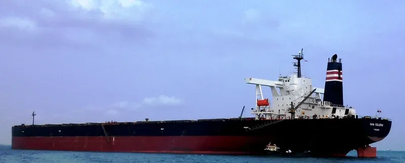 GAIA CELERIS Bulk Carrier IMO 9335848