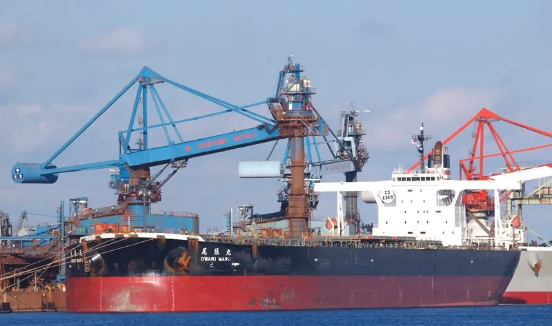 OWARI MARU Bulk Carrier IMO 9335850