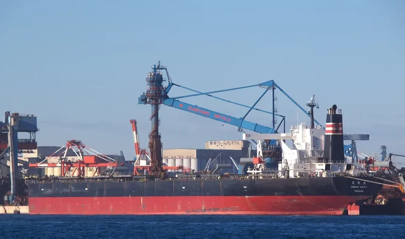 OWARI MARU Bulk Carrier IMO 9335850 photo 2