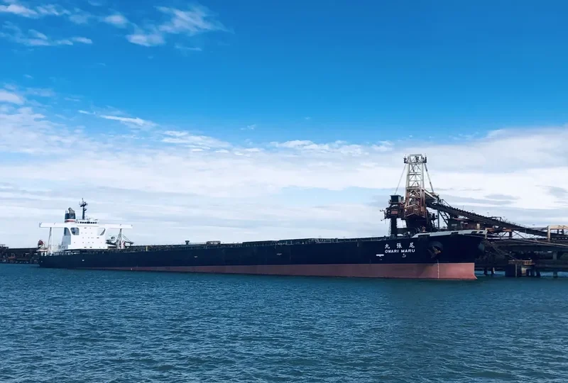 OWARI MARU Bulk Carrier IMO 9335850 photo 8