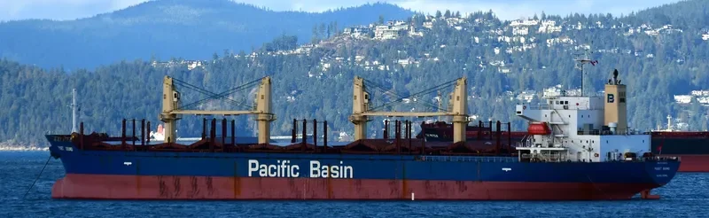 PUGET SOUND Bulk Carrier IMO 9335874 photo 2