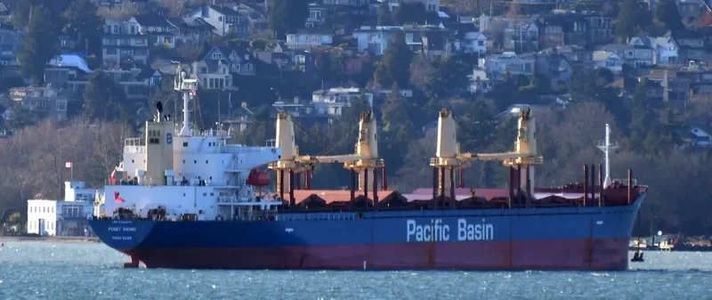 PUGET SOUND Bulk Carrier IMO 9335874 photo 4