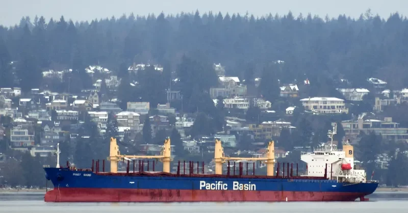 PUGET SOUND Bulk Carrier IMO 9335874 photo 5