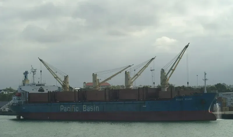 PUGET SOUND Bulk Carrier IMO 9335874 photo 7