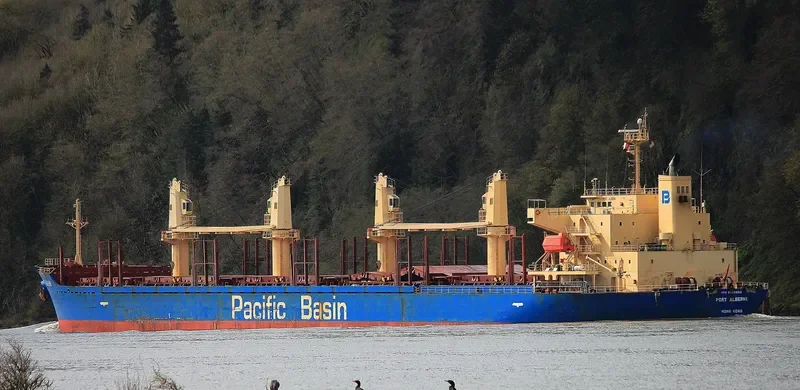 PORT ALBERNI Bulk Carrier IMO 9335886 photo 4