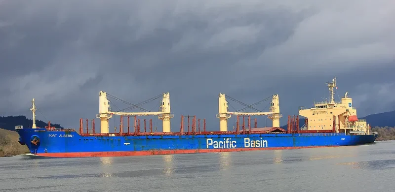 PORT ALBERNI Bulk Carrier IMO 9335886 photo 7