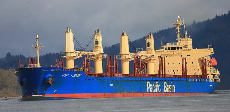 PORT ALBERNI Bulk Carrier IMO 9335886 photo 8