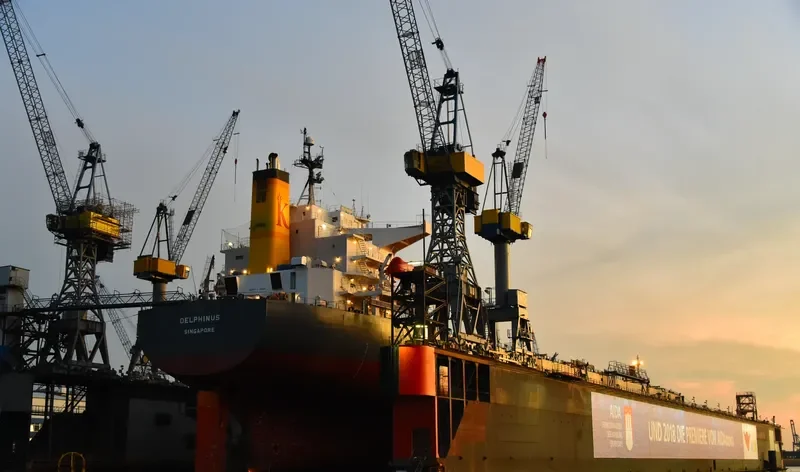 DELPHINUS Bulk Carrier IMO 9336000