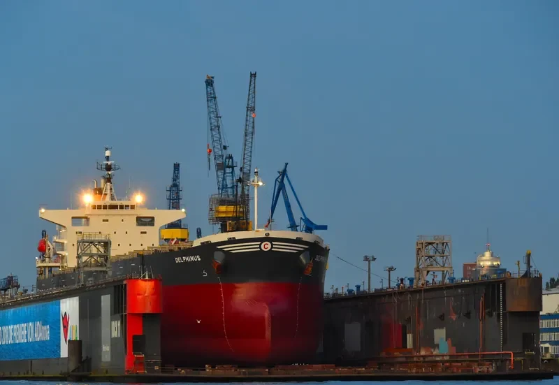 DELPHINUS Bulk Carrier IMO 9336000 photo 2