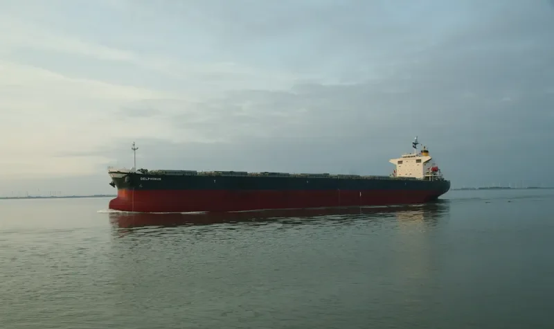DELPHINUS Bulk Carrier IMO 9336000 photo 3