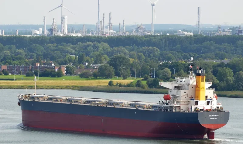 DELPHINUS Bulk Carrier IMO 9336000 photo 4