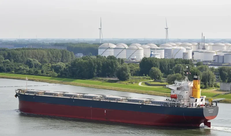 DELPHINUS Bulk Carrier IMO 9336000 photo 5
