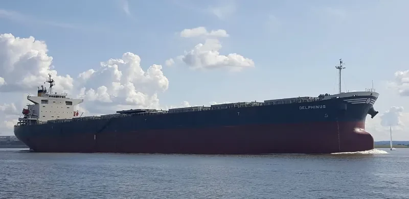 DELPHINUS Bulk Carrier IMO 9336000 photo 6