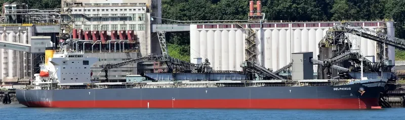 DELPHINUS Bulk Carrier IMO 9336000 photo 9