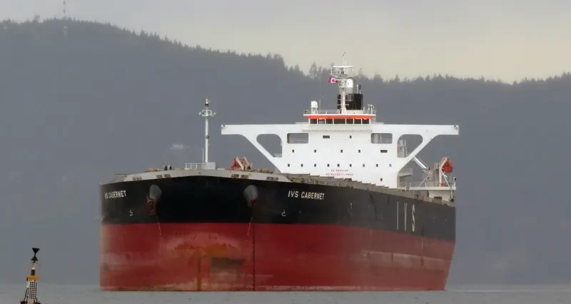 AQUAHOPE Bulk Carrier IMO 9336012 photo 4