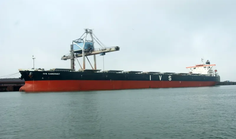 AQUAHOPE Bulk Carrier IMO 9336012 photo 7