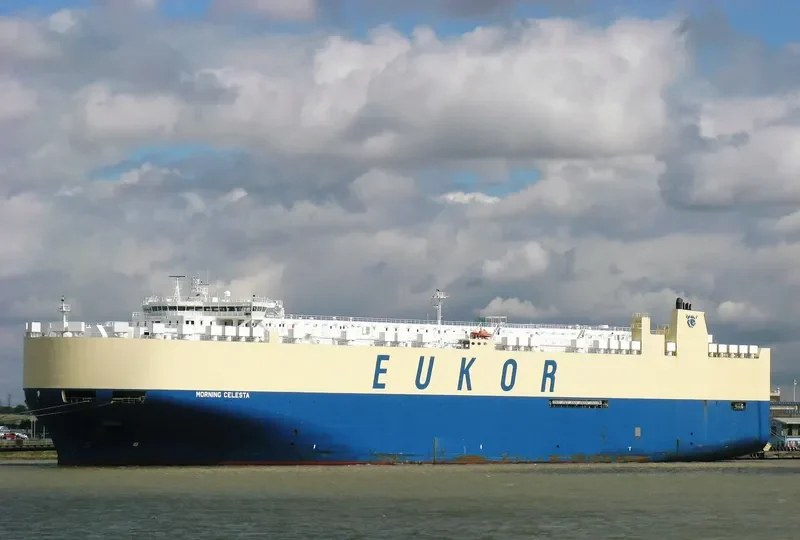 MORNING CELESTA General Cargo IMO 9336062 photo 2
