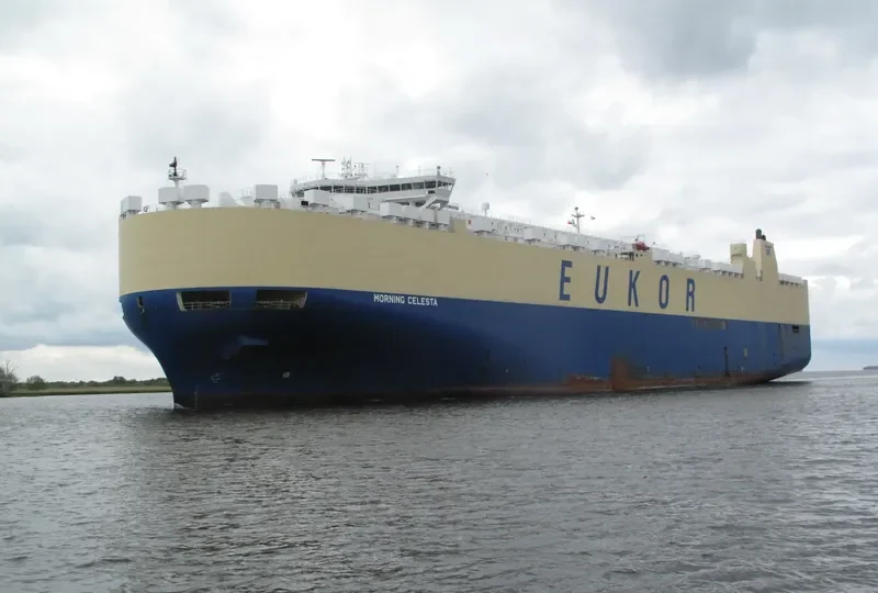 MORNING CELESTA General Cargo IMO 9336062 photo 3