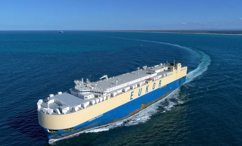 MORNING CELESTA General Cargo IMO 9336062 photo 7