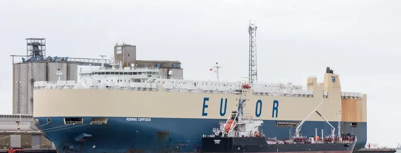 MORNING COMPOSER General Cargo IMO 9336074 photo 7