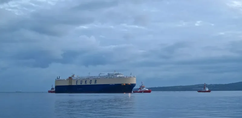 MORNING CAROL General Cargo IMO 9336086 photo 5