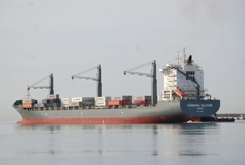 HAMMONIA PALATIUM Container Ship IMO 9336165 photo 14