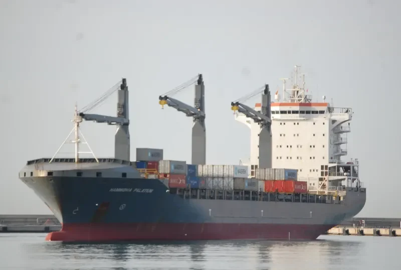 HAMMONIA PALATIUM Container Ship IMO 9336165 photo 15