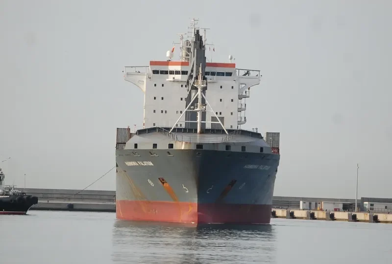 HAMMONIA PALATIUM Container Ship IMO 9336165 photo 18