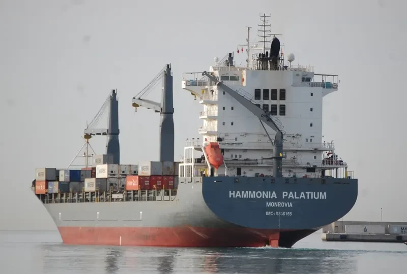 HAMMONIA PALATIUM Container Ship IMO 9336165 photo 32