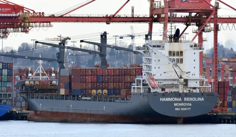 HAMMONIA BEROLINA Container Ship IMO 9336177 photo 5