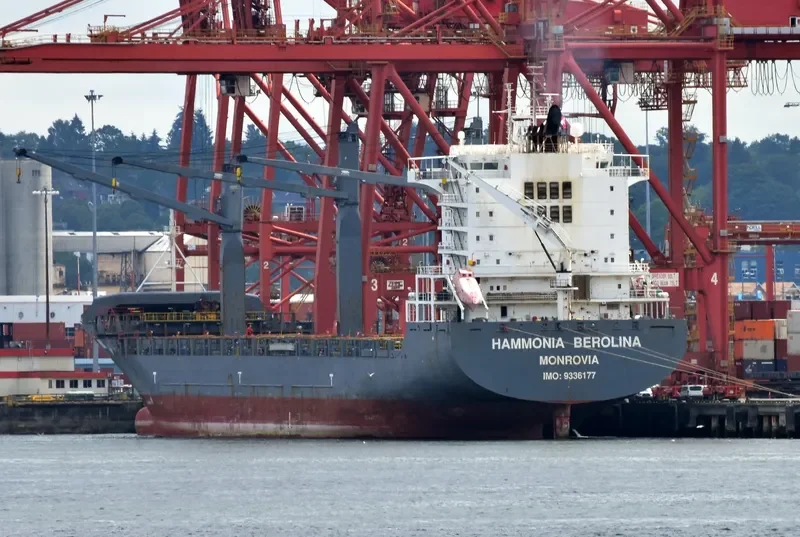 HAMMONIA BEROLINA Container Ship IMO 9336177 photo 9