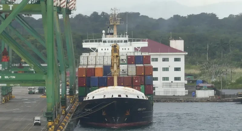 VEGA ZETA Container Ship IMO 9336347 photo 2