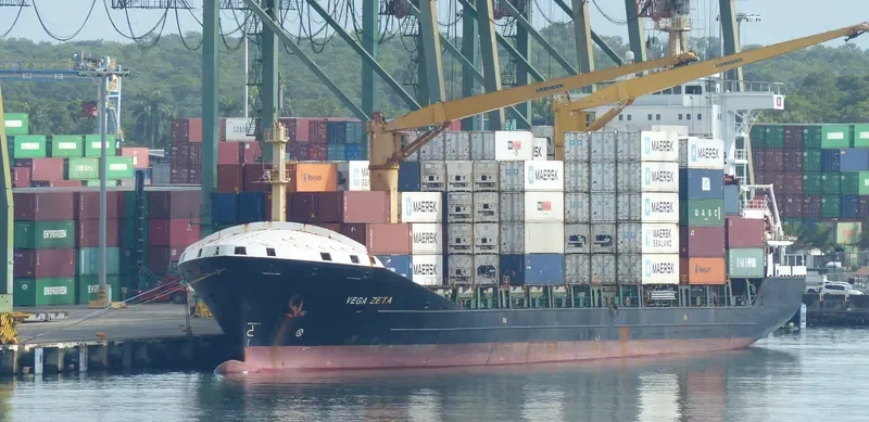 VEGA ZETA Container Ship IMO 9336347 photo 3