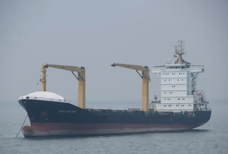 VEGA ZETA Container Ship IMO 9336347 photo 5