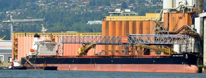 WOOYANG FRIEND Bulk Carrier IMO 9336373 photo 3
