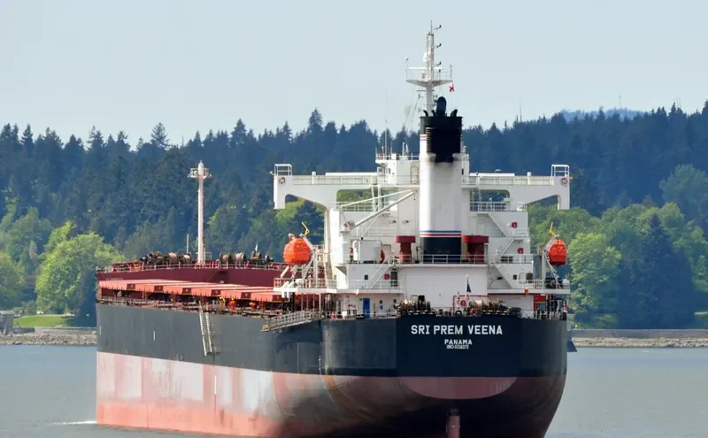 WOOYANG FRIEND Bulk Carrier IMO 9336373 photo 4