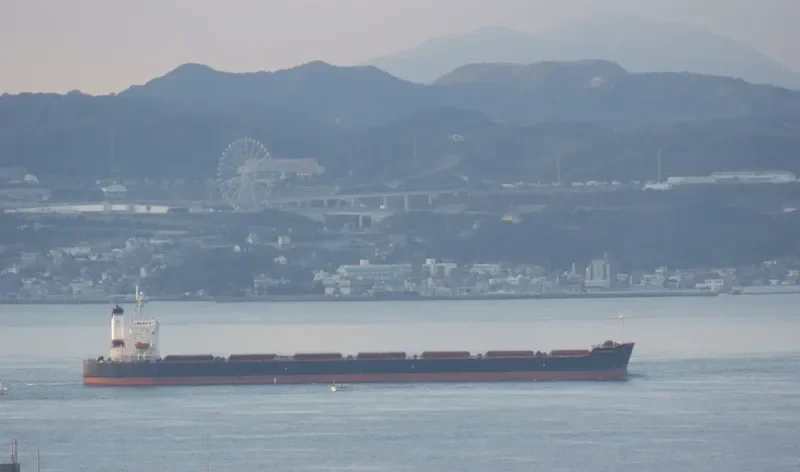 WOOYANG FRIEND Bulk Carrier IMO 9336373 photo 7