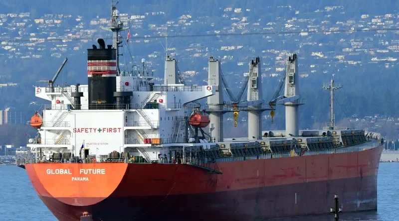 GLOBAL FUTURE Bulk Carrier IMO 9336385 photo 3