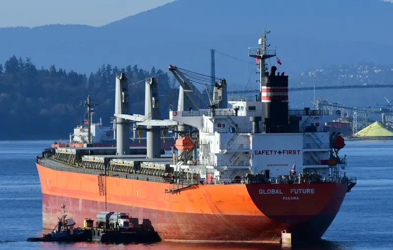 GLOBAL FUTURE Bulk Carrier IMO 9336385 photo 5